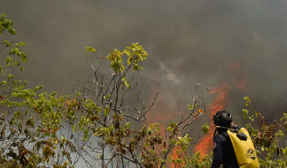 Colombia investiga incendios forestales provocados que ya consumieron más de 20.000 hectáreas