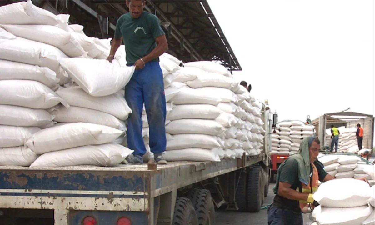 Ecuador exportará 30 000 toneladas de arroz hacia Colombia