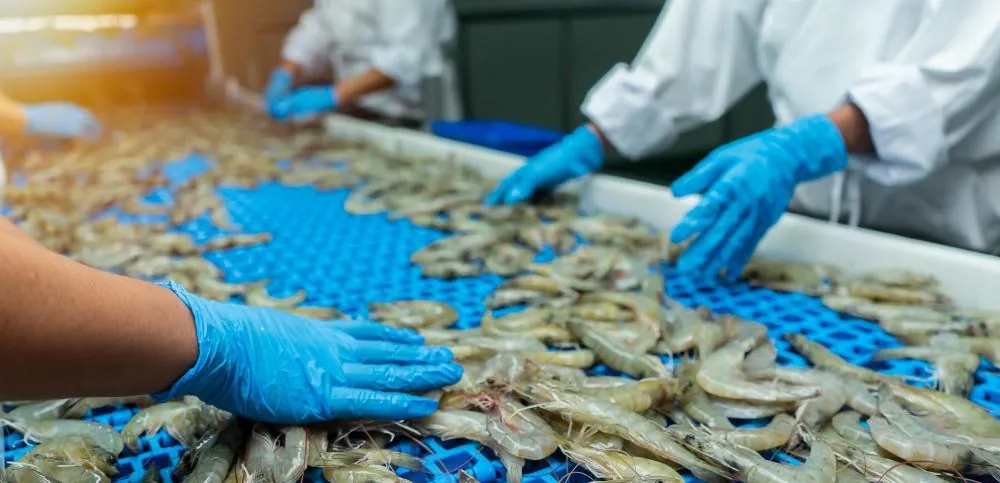 Restricciones de China ya afectan a 14 empresas camaroneras de Ecuador