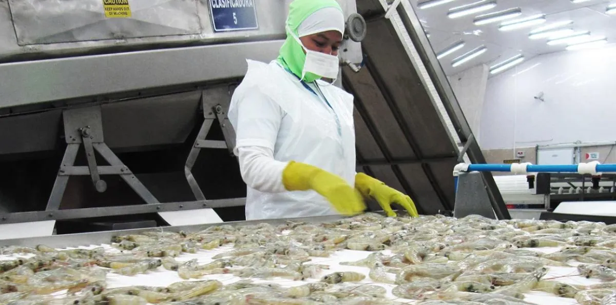 La economía de Ecuador creció un 1,6 % interanual en mayo, según el Banco Central