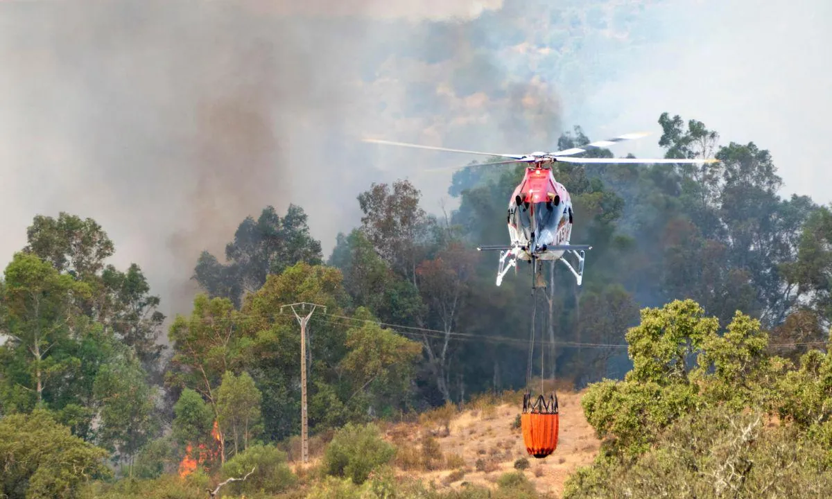 Europa arde: incendios fuera de control golpean a Francia y España