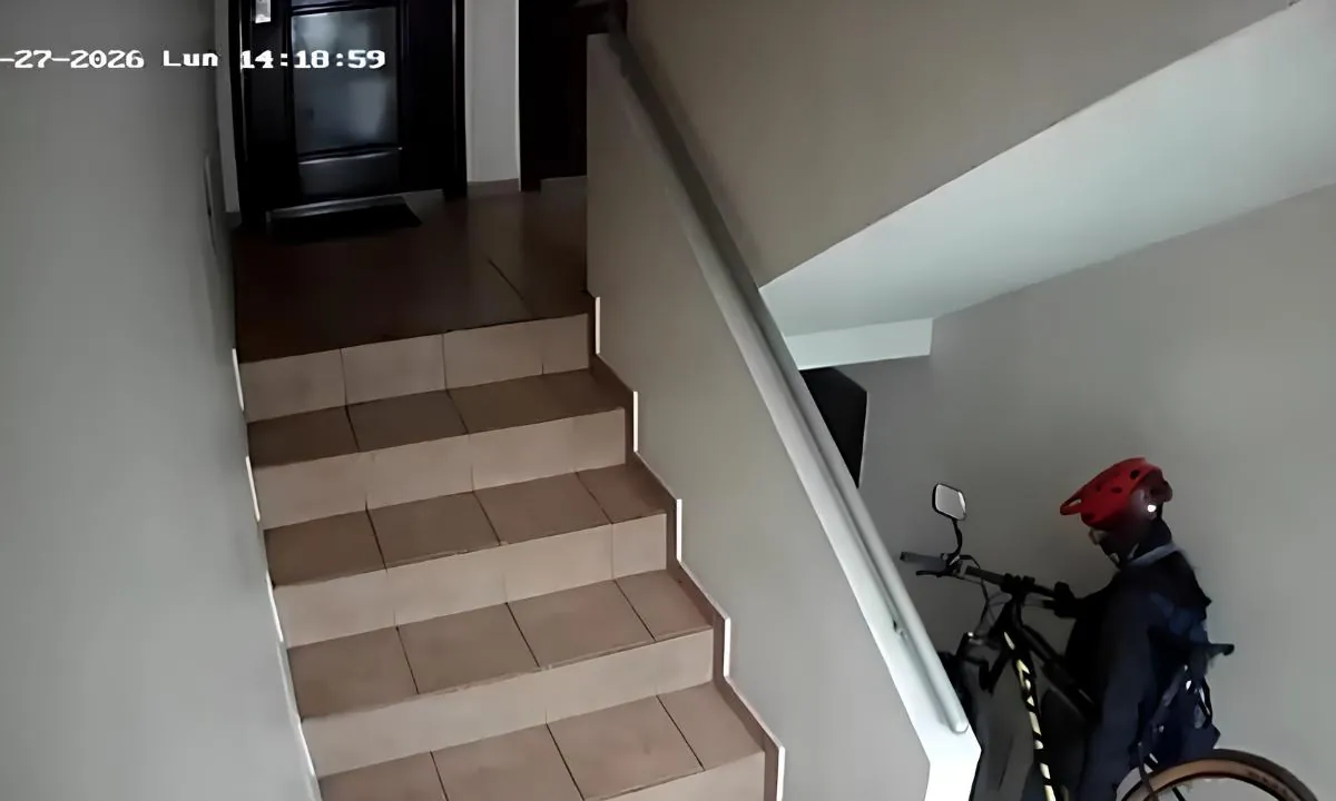 Cronología del caso Mónica Luzuriaga desde su desaparición en Quito