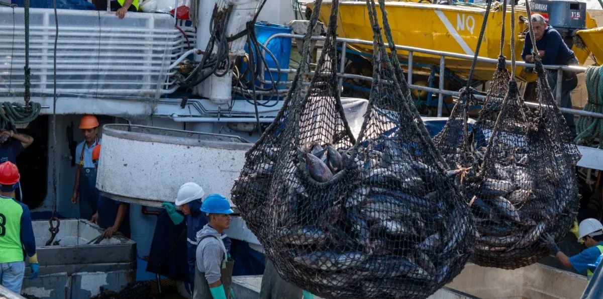 Ecuador y Canadá firmarán un TLC: estos productos podrían beneficiarse