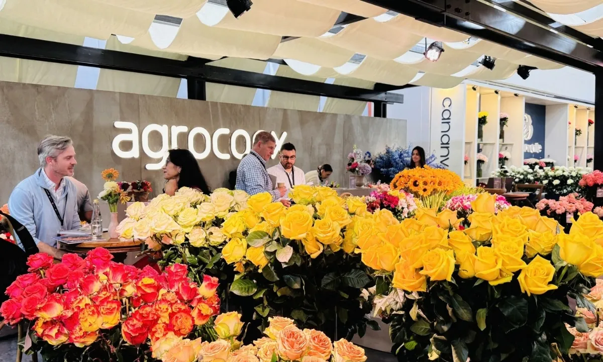 expo flor ecuador 2024