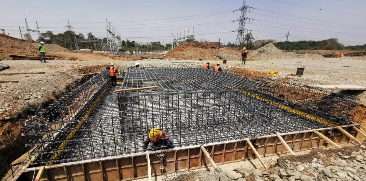 Caso Progen: Las nuevas vinculaciones se quedan en mandos medios y asesores del sector eléctrico