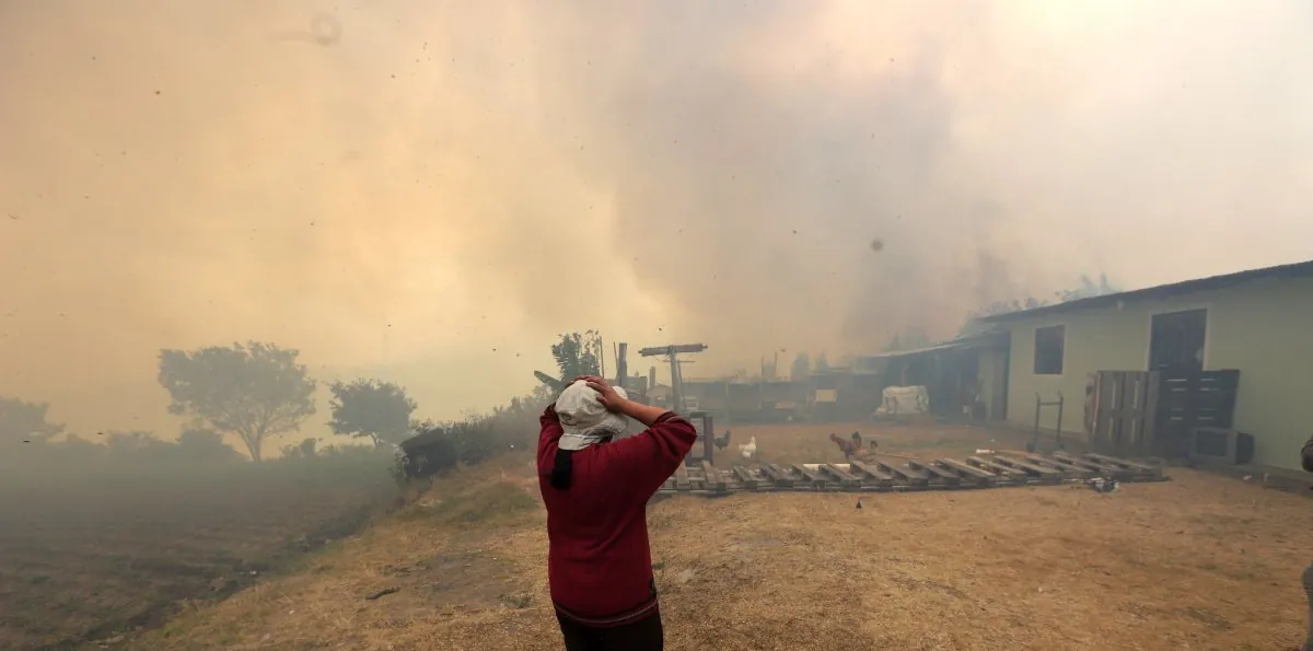 Dos megamingas buscan recuperar 21 zonas de Quito afectadas por los incendios forestales