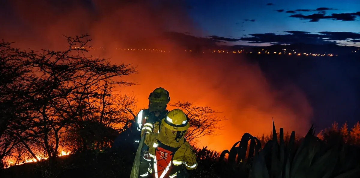 Incendio forestal en Yaruquí fue controlado y evitó afectar viviendas y florícolas