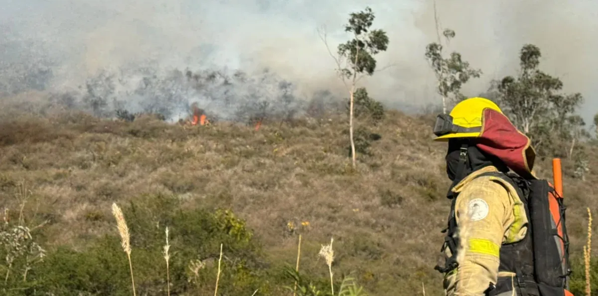 Dos grandes incendios forestales permanecen activos en Calacalí y San Antonio de Pichincha