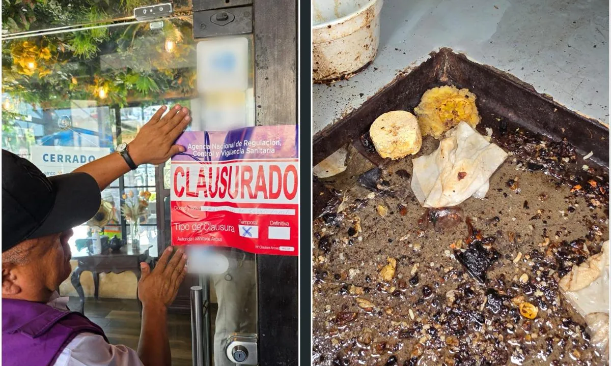 Clausuran restaurante en Guayaquil por plagas e insalubridad