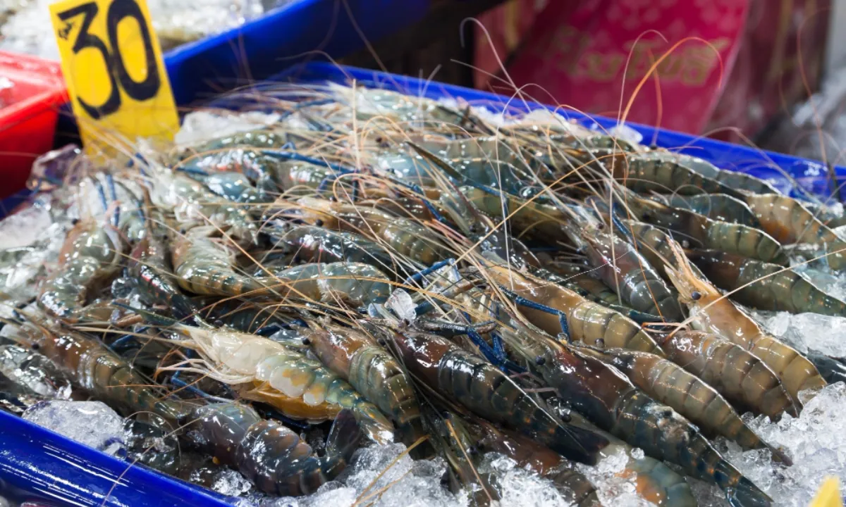 China levanta suspensión a ocho exportadores de camarón de Ecuador