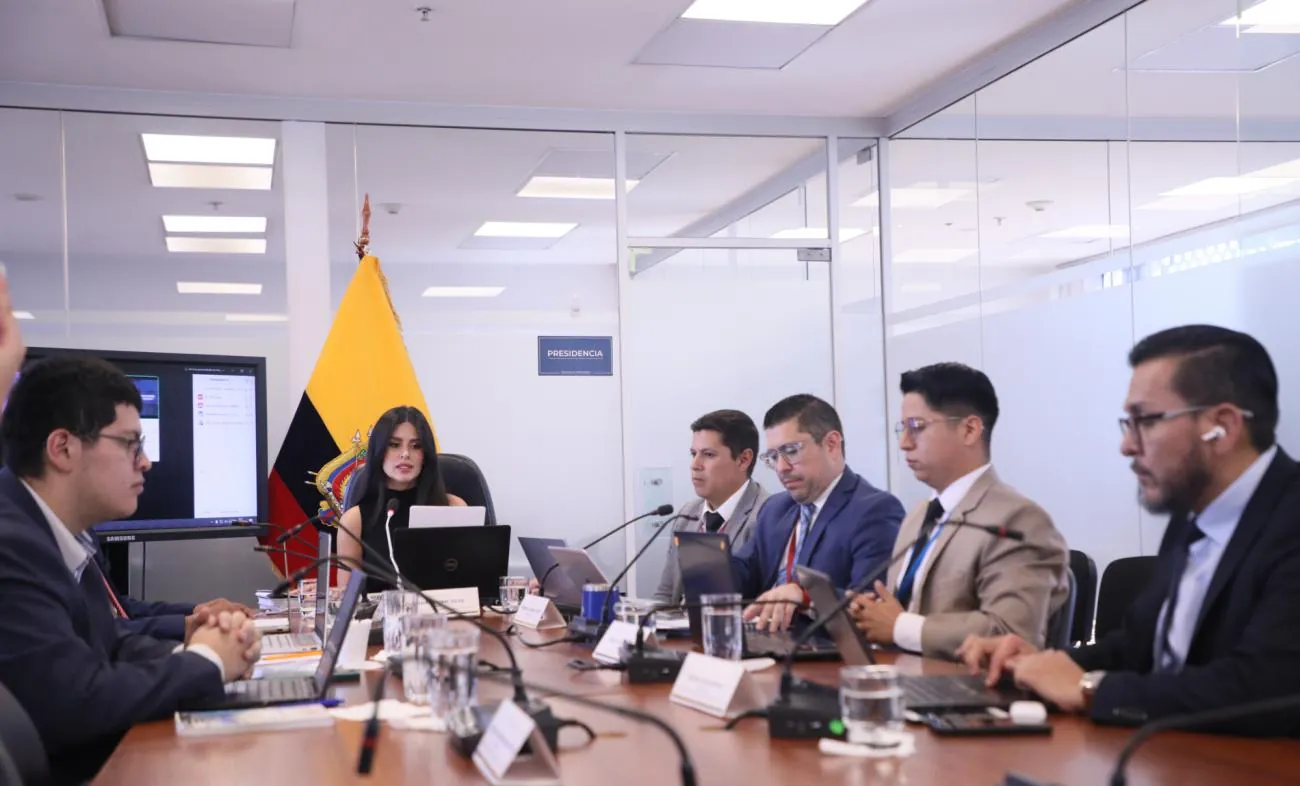 Así cambiarían las adopciones en Ecuador con el nuevo proyecto de ley que se discute en la Asamblea Nacional
