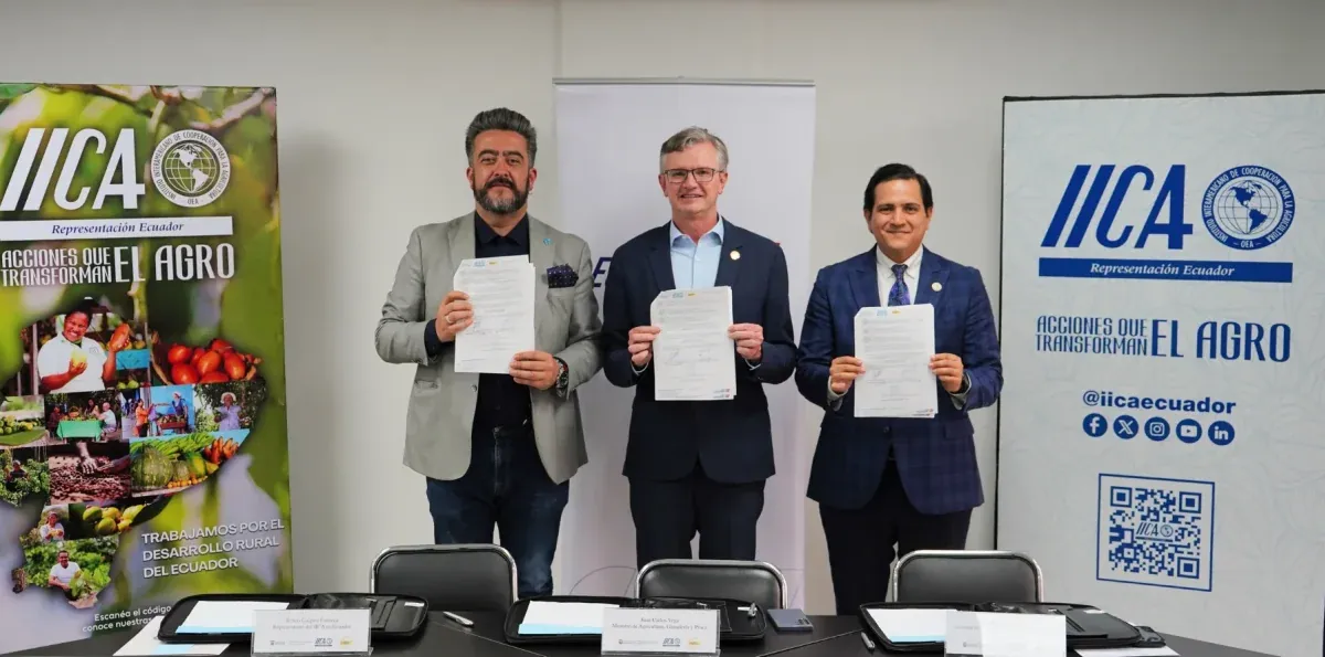 El sector bananero fortalece una alianza para impulsar la innovación y la competitividad
