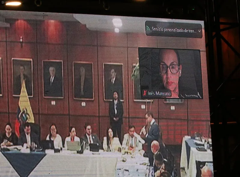 Inés Manzano compareció de forma telemática al inicio de la práctica de pruebas del juicio político