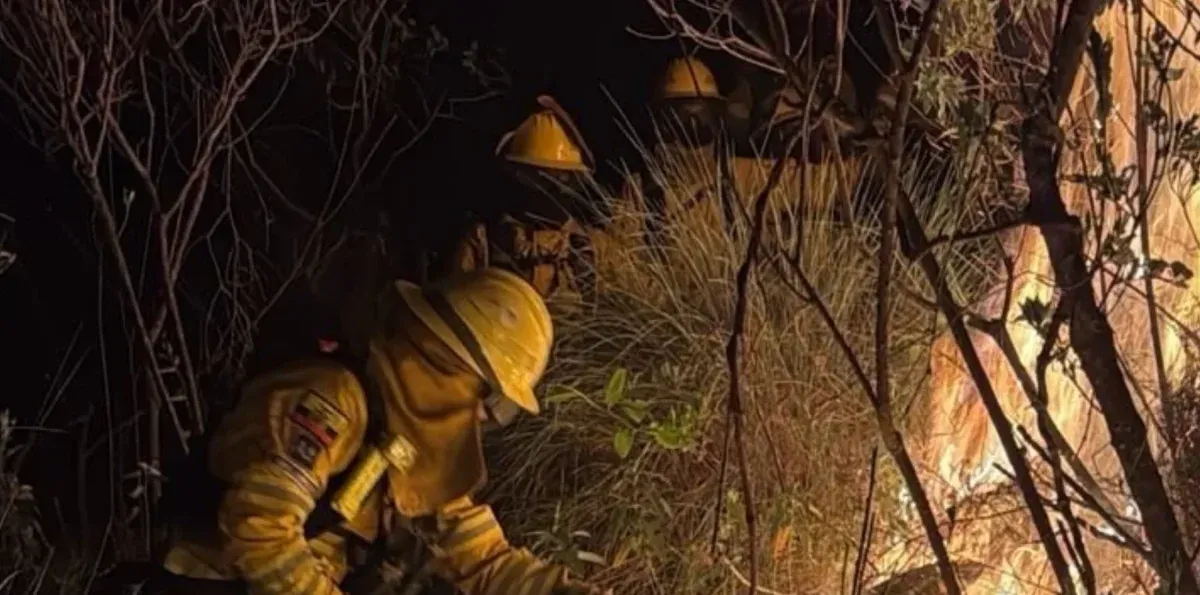 Incendios forestales en Ecuador: estas son las 10 provincias en riesgo hasta el 15 de agosto