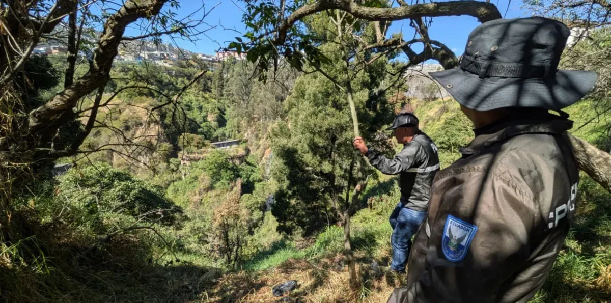 Lizeth Bunshi: dictan prisión preventiva a sospechoso de su desaparición en Quito