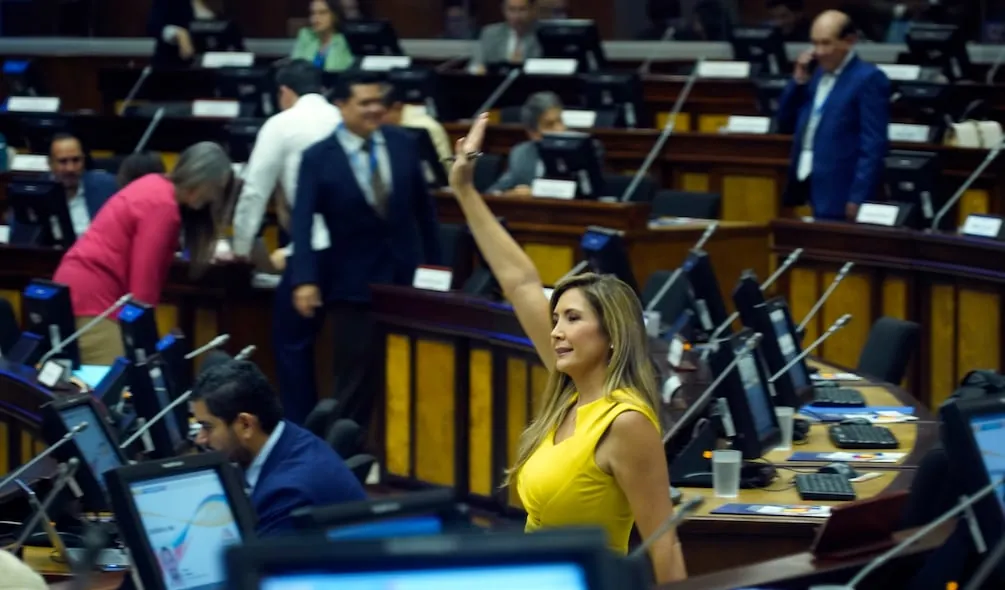 Dallyana Passailaigue y su paso por la política desde el Partido Social Cristiano