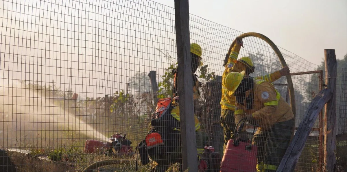 Ecuador suma más de 1.300 incendios forestales y 9.800 hectáreas afectadas
