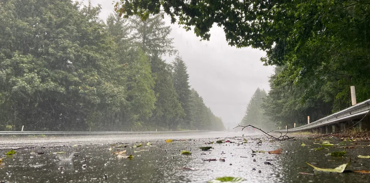 Clima en Ecuador este 12 de agosto: lluvias aisladas y radiación extrema
