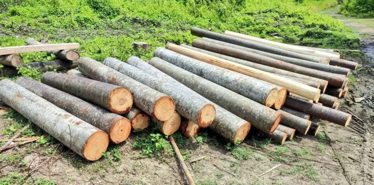 Ecuador prepara Estrategia Nacional de la Balsa ante nuevas exigencias de la UE